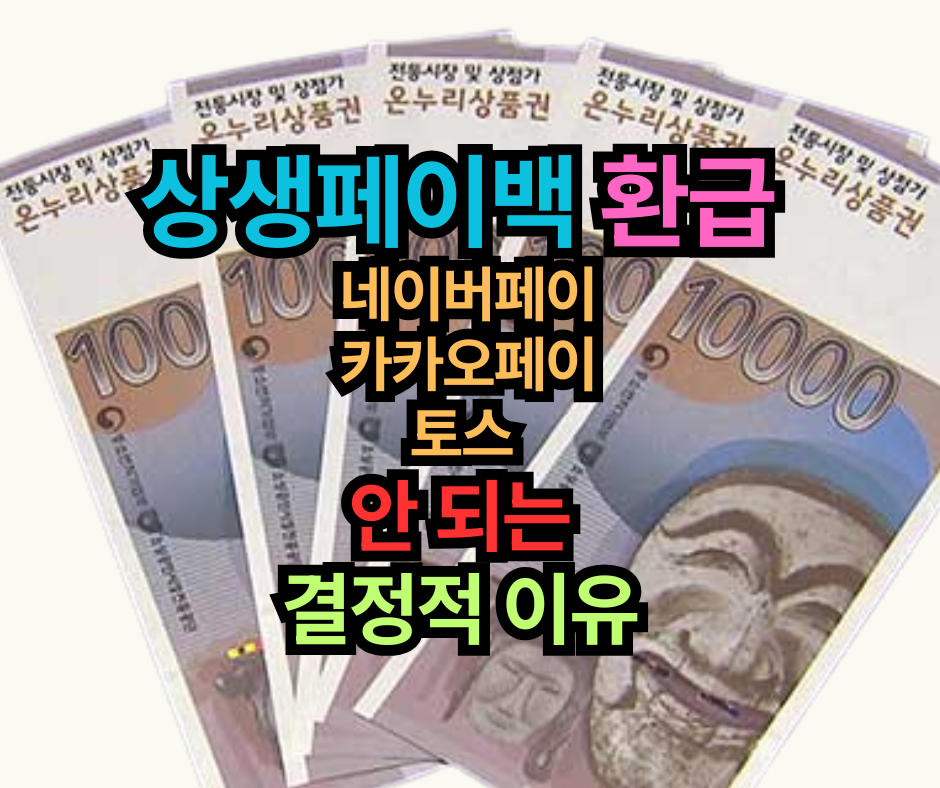 2024 상생페이백 환급, 네이버페이·카카오페이·토스 안 되는 결정적 이유