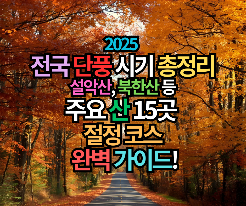 2025 전국 단풍 시기 총정리 설악산, 북한산 등 주요 산 15곳 절정 코스 완벽 가이드!