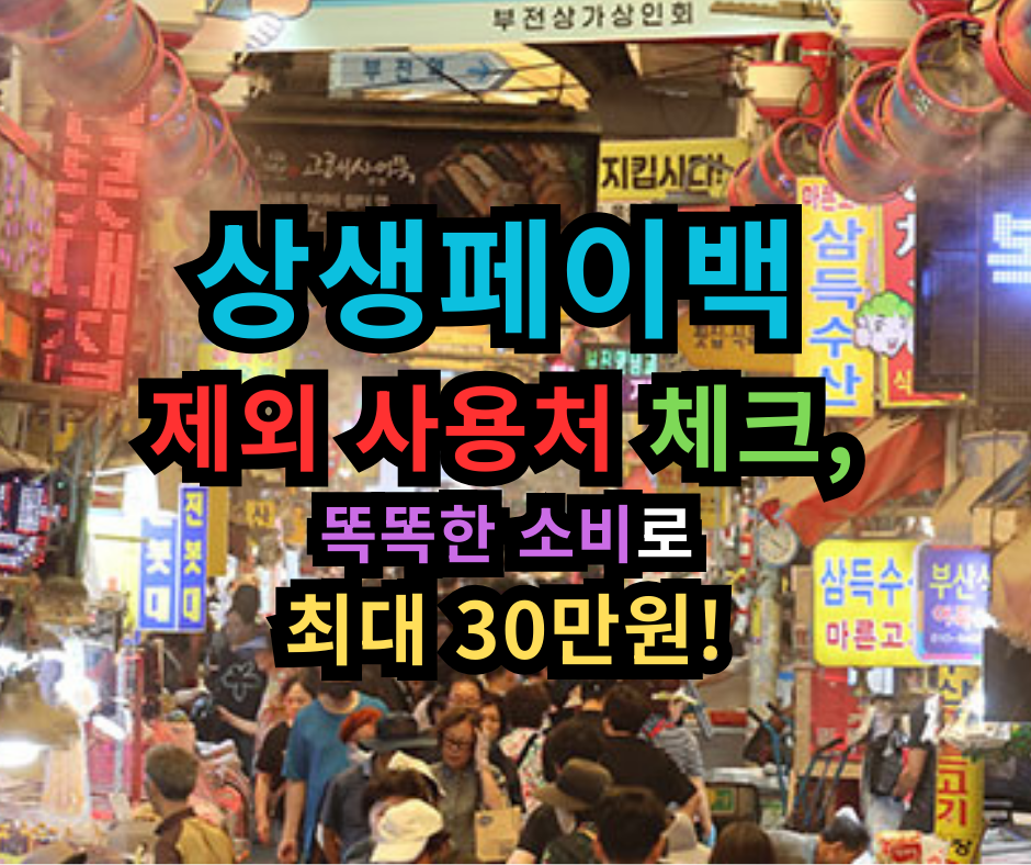 상생페이백 제외 사용처 체크, 똑똑한 소비로 최대 30만원! 