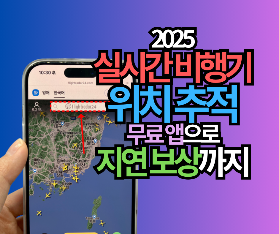 2025 비행기 실시간 위치 추적 완벽 가이드: 무료 앱부터 꿀팁까지 총정리