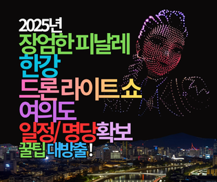 2025년의 장엄한 피날레! 한강 드론 라이트 쇼 여의도, 일정과 명당확보 꿀팁 대방출!