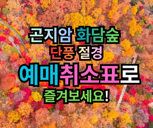 곤지암 화담숲 단풍 절정화담숲 취소표 팁으로 꼭 만나보세요!