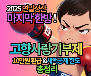연말정산 마지막 한방! 고향사랑기부제 세액공제 한도 & 10만원 환급 방법 (2025 완벽 정리)