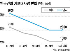 한국인의 기초대사량 변화 그래픽
