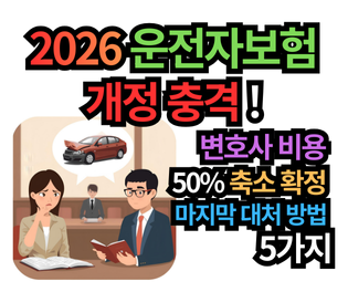 2026 운전자보험 개정 충격! 변호사 비용 50% 축소 확정, 마지막 대처 방법 5가지