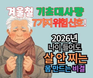 겨울철 기초대사량 놓치는 7가지 위험 신호! 나이 들어도 살 안 찌는 몸 만드는 비결