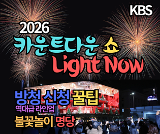 2026 카운트다운쇼 Light Now 방청 신청 꿀팁과 역대급 라인업 (병오년 불꽃놀이 명당)