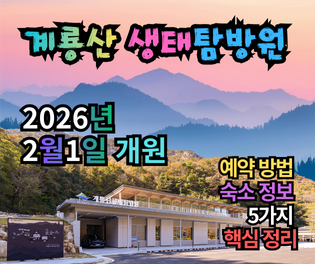 계룡산 생태탐방원 예약 방법 및 숙소 정보 5가지 핵심 정리(2026 최신)