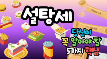 설탕세 도입 시기 및 가격 인상 총정리! 당신의 지갑과 건강을 지킬 5가지 핵심 포인트