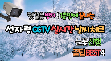선자령 CCTV 실시간 날씨 체크, 헛걸음 방지! 눈꽃 산행 꿀팁 BEST 4