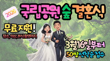 2026 국립공원 숲 결혼식 혜택, 50쌍 선착순 무료 지원 총정리