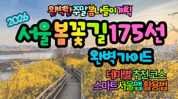 2026 서울 봄꽃길 175선 완벽 가이드 : 위치,추천코스,스마트서울맵 활용법 총정리