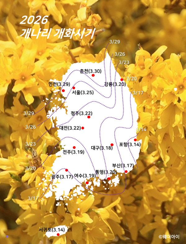2026 서울 봄꽃길 175선 완벽 가이드 : 위치,추천코스,스마트서울맵 활용법 총정리