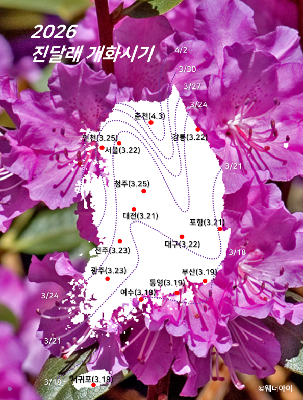 2026 서울 봄꽃길 175선 완벽 가이드 : 위치,추천코스,스마트서울맵 활용법 총정리