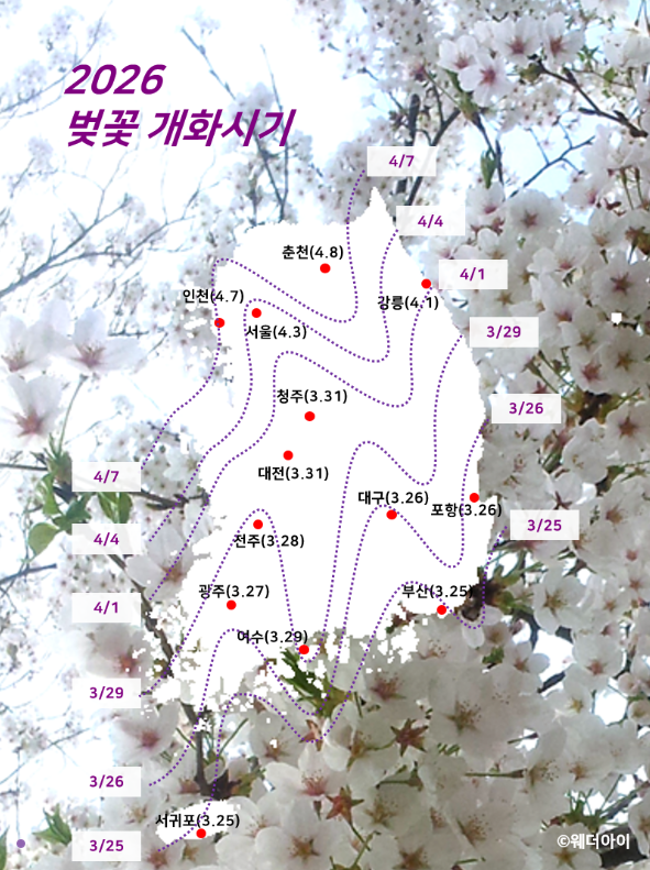 2026 서울 봄꽃길 175선 완벽 가이드 : 위치,추천코스,스마트서울맵 활용법 총정리
