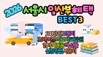 2026 서울시 임산부 혜택 3가지 총정리: 100만원 교통비부터 의료비까지