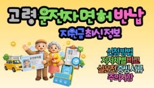 고령 운전자 면허 반납 지원금, 놓치면 최대 180만원 손해 보는 이유와 신청 방법