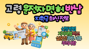 고령 운전자 면허 반납 지원금, 놓치면 최대 180만원 손해 보는 이유와 신청 방법